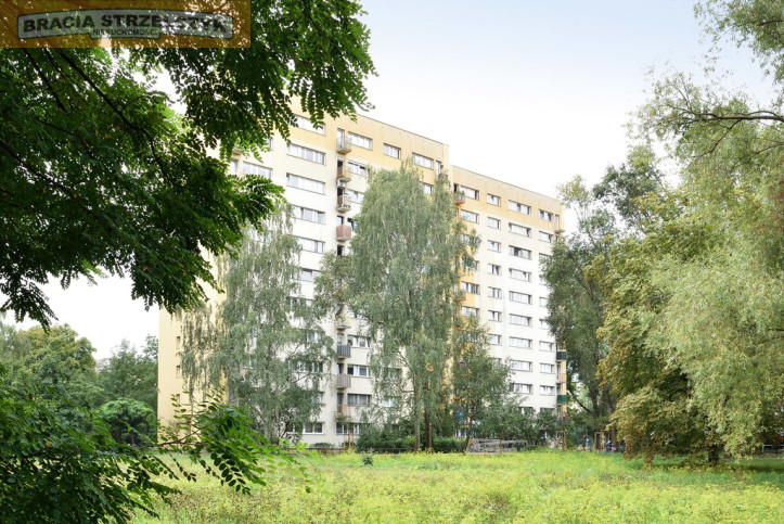 Mieszkanie Wynajem  Wola Wieluńska 9
